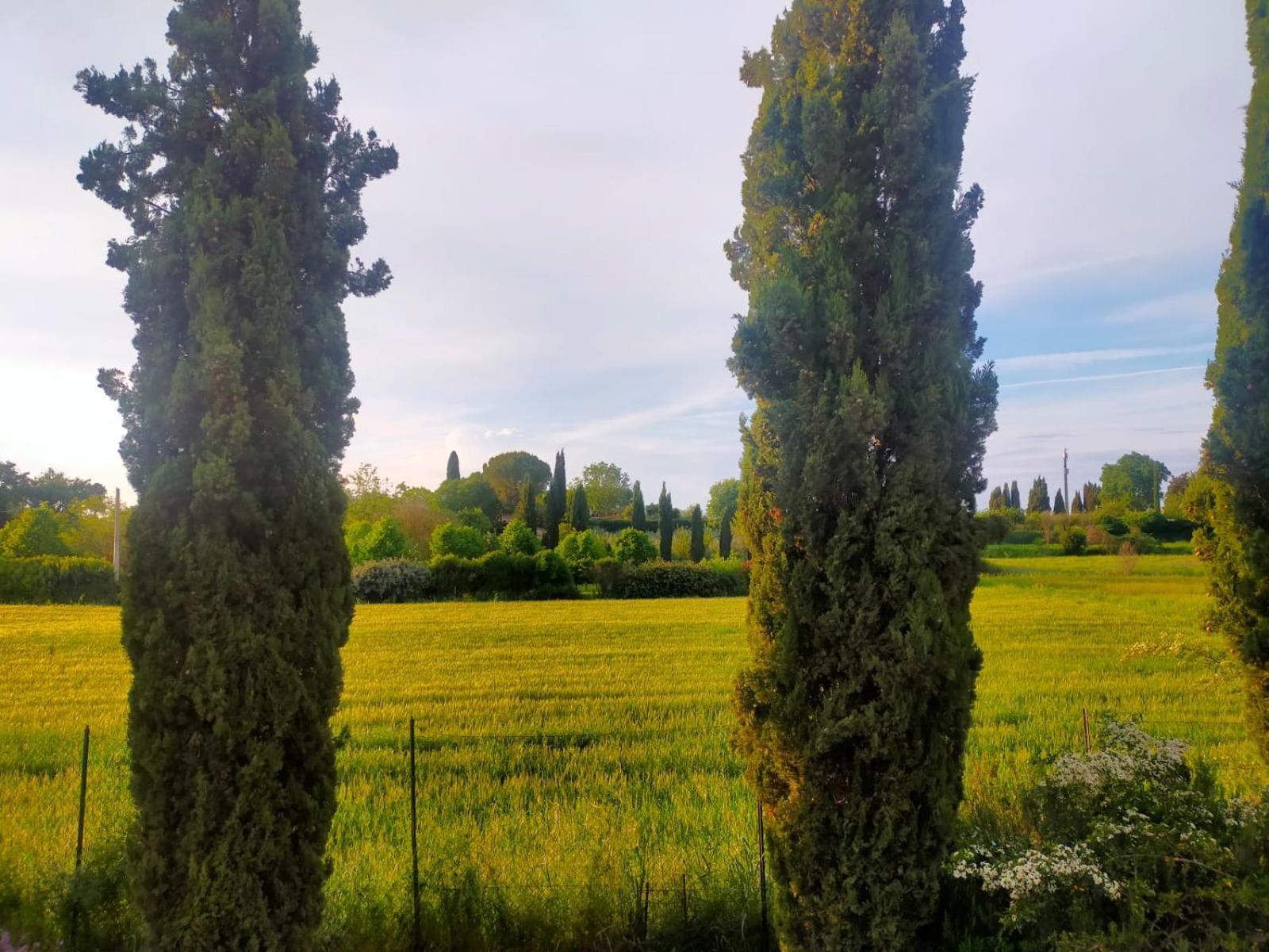 Villetta Con Parco Vicino San Gimignano Colle di Val d'Elsa Buitenkant foto